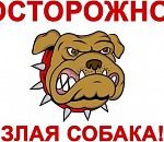 Осторожно, новый закон: астраханцев обязали сообщать о собаке в доме 
