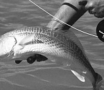 Под Астраханью пенсионер убил своего брата во время рыбалки