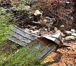 Астраханские корабелы оплатили еще один экологический ущерб на несколько миллионов