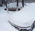 Фото дня: тем временем в Ахтубинске