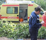 В Астрахани дерево упало на детскую площадку: пострадал ребенок
