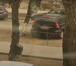 Хитрость до штрафа довела: астраханец объехал пробку по тротуару. Видео