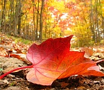 Астраханская погода в сентябре