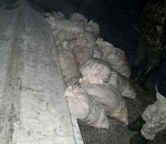 Астраханская полиция задержала браконьеров, выловивших больше тонны рыбы на территории заказника