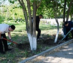 Нынешний этносубботник в Астрахани стал «аркадиевским»