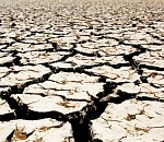 В Астраханской области засуха достигла опасных критериев