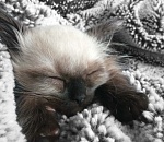 Уже убрали сапоги и куртки? В Астрахань идет очень резкое похолодание