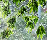 В выходные Астрахань зальет