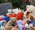 Астраханские розы высадили на Аллее ангелов в Донецке