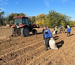 В Астраханской области борются с песками при помощи джунгуза