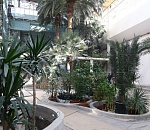 Подрядчик пытался за взятки скрыть недоделки при реконструкции КРК «Октябрь» в Астрахани