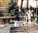 В Астрахани занимавшийся зарядкой на улице голый мужчина задержан и передан медикам