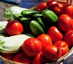 Астраханцы в эту субботу смогут закупиться продуктами подешевле