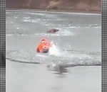 Астраханские спасатели вытащили из реки тонущую собаку