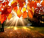 Синоптики обещают астраханцам теплую пятницу