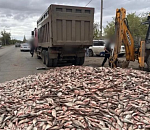 В Астрахани грузовик завалил рыбой проезжую часть