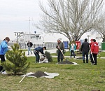 Весной в Астрахани планируют высадить тысячу деревьев и 600 тысяч цветов