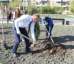 Игорь Седов принял участие в первом народном субботнике в сквере «Антикормаш»