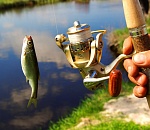 Астраханец, чтобы не вернуться с рыбалки с пустыми руками, украл забор