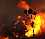 В Астраханской области МЧС объявило штормовое предупреждение