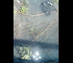 Жители Ахтубинского района жалуются на загрязнение реки Подстепки канализацией