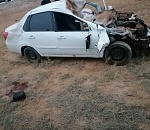 Коровы и лошади спровоцировали 231 ДТП на дорогах Астраханской области