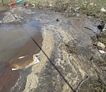 Астраханскую реку, отравленную нефтепродуктами, реанимировали