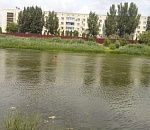 На Цареве в Астрахани нашли труп женщины