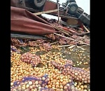 Под Астраханью прослезилась фура: видео