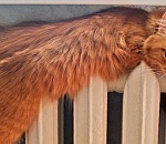 Синоптики обещают астраханцам в воскресенье сильный ветер и осадки 