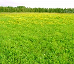 Астраханский фермер за 5 дней нашел миллион, чтобы не потерять землю