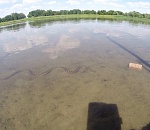 Под Астраханью рыбаков напугала гигантская трехметровая змея