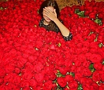 Астраханец украл две корзины цветов для возлюбленной, но выкинул их, "осознав содеянное"