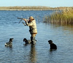 В Астраханской области сезон охоты откроется 21 сентября
