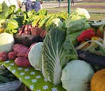 В субботу для астраханцев будет работать большая сельхозярмарка