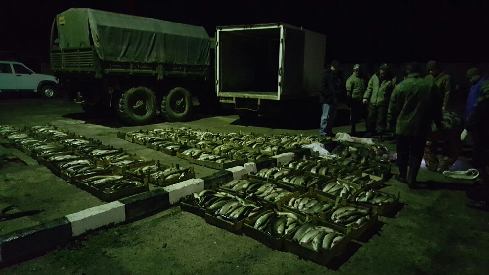 Астраханец, убегая от пограничников, бросил на произвол судьбы тонну рыбы