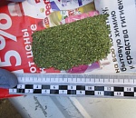 Оперативники задержали группу астраханцев, перевозивших на авто наркотики