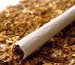 Дело табак: астраханскую границу не преодолел табак на миллион