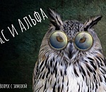 Успеть за 60 секунд. Альфа - сестра Икса. Выясняем, кто они такие