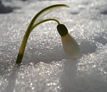 Астраханская погода в феврале