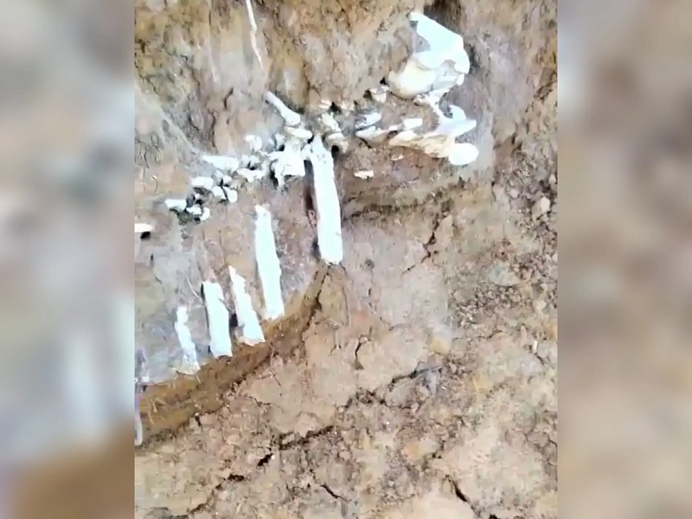 Астраханцы пытаются разгадать, кому принадлежит найденный на берегу скелет 