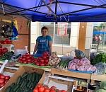 В Астрахани дешевеют овощи