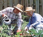 По данным опроса «Левада-центра» 64% россиян могут обойтись без доллара и поездок за рубеж