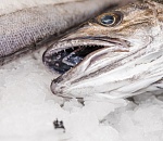 Три тонны рыбы развернули обратно в Казахстан на границе с Астраханской областью