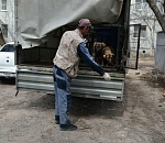 У астраханского питомника появилась своя страничка в Инстаграм