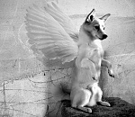 Саммит, собаки и отравленная каша...