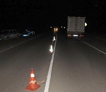 Под Астраханью грузовик насмерть сбил бездомную женщину