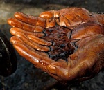 "Ъ - Итоги года" в Астраханской области: "От сухопутного газа к морской нефти"