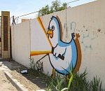 Чайка Жора продолжает наступление на астраханские стены