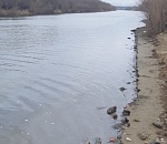 В Астрахани реку Прямая Болда испачкали нефтепродуктами